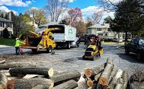 Reliable Pearl River, NY Tree Removal and Landscaping Services Solutions